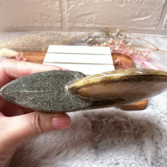 Gorgeous Ammonite Fossil | Ammonite Specimen - Picture 3 of 6